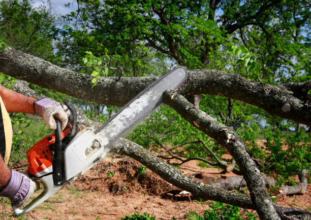 Mulching Services in Rockland, ME